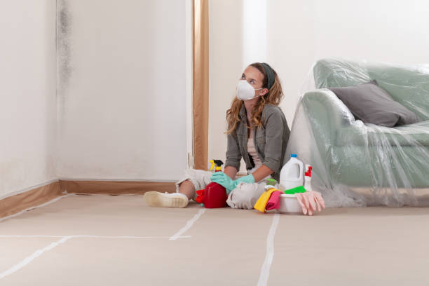 Reliable Mold Inspection contractor in Spring Lake, NJ by WQB Mold Removal